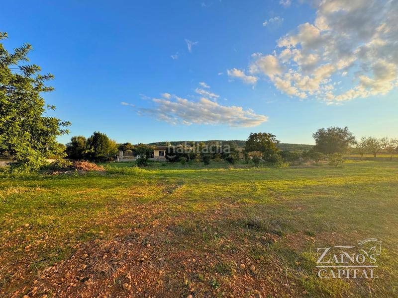 Foto 0b72d0c0-5d6a-408b-9468-1b029636a961. Casa amb calefacció piscina a Santa Eugènia