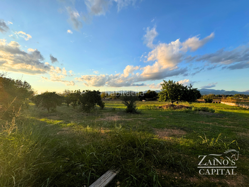 Foto 3a2d7c38-3f30-4f59-a0ef-0a76df309061. Casa amb calefacció piscina a Santa Eugènia