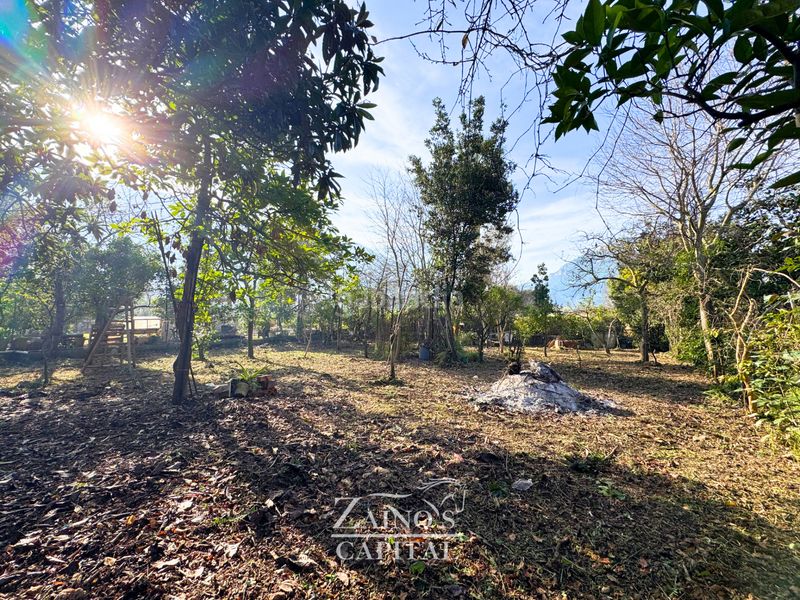 Foto d1000222-d15b-43c8-9b77-be8b98de432c. Terreny residencial a Sóller