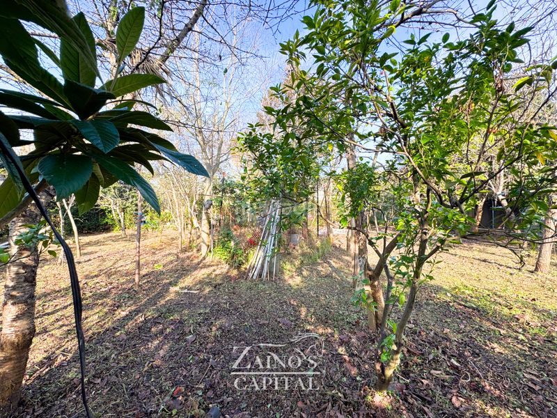 Foto d74a59d7-29ae-4634-ac44-def3ba1cd517. Terreny residencial a Sóller