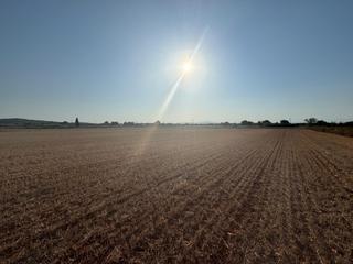 Finca rústica  M14 diseminado primera volta. Terreno edificable privilegiado en felanitx con vistas panorámic