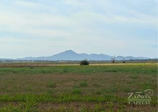 Rural plot in Vilafranca de Bonany