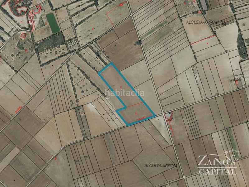 Foto b7e155ec-0c04-4b95-b412-eb63104ca2df. Finca rústica terreno rústico edificable en Vilafranca de Bonany