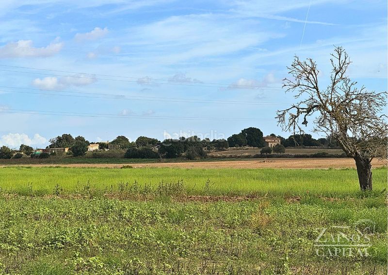Foto d9602d96-0d36-4bf7-8dfa-a2209efe07f9. Finca rústica terreno rústico edificable en Vilafranca de Bonany