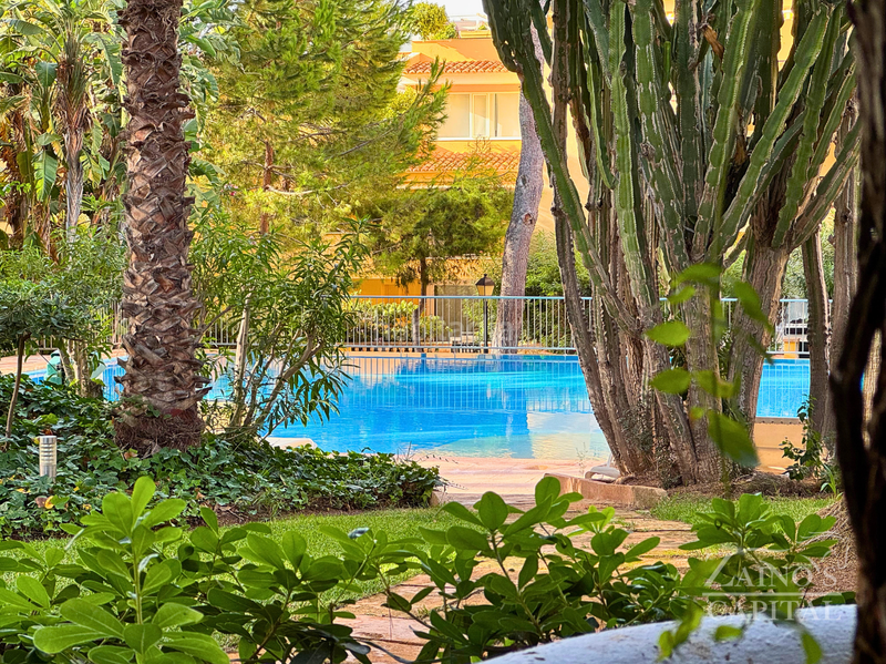 Foto 5669ea85-a2ff-44fe-a722-52014006fd34. Appartement avec chauffage piscine dans Santa Ponça Calvià