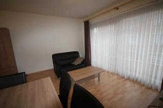 Alquiler Piso en La Alhóndiga. Apartamento amueblado con 1 dormitorio