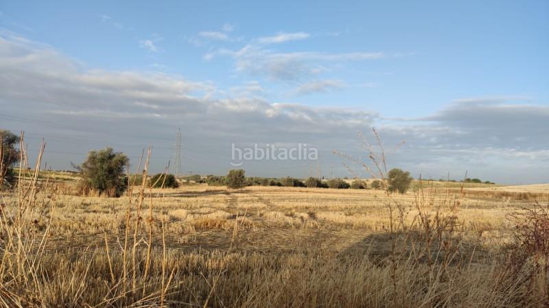 Foto 019bc3a6-db34-4e66-ab77-810f244e1755. Terreno residencial en n/a terreno urbanizable en venta en poligono 35 , madrid en Móstoles