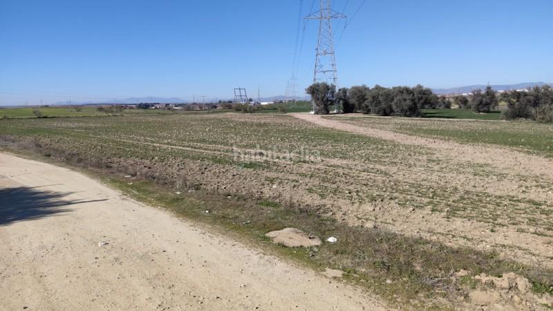 Foto 2afd55c6-14e9-40fa-8278-2822fe5d808e. Terreno residencial en n/a terreno urbanizable en venta en poligono 35 , madrid en Móstoles