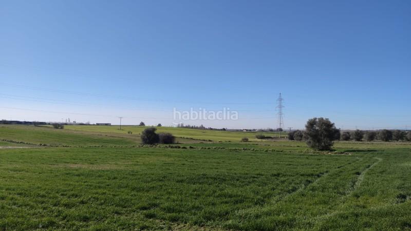 Foto f1c54f4f-e629-405c-ad09-89bdb810f4be. Terreno residencial en n/a terreno urbanizable en venta en poligono 35 , madrid en Móstoles