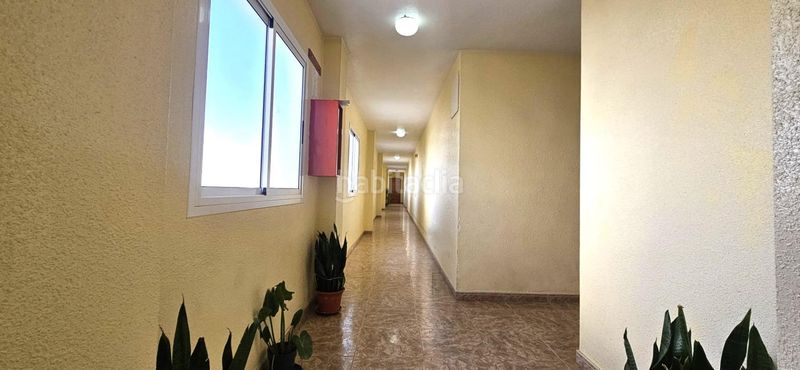 Foto bd45d1ce-e7e0-4c0f-9624-498f536210da. Pis a Ejido Sur Ejido (El)