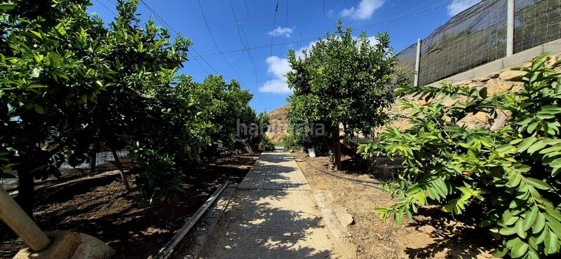 Foto 6c723225-ca6d-426d-8426-58b2f89d6731. Bauernhof in Balerma Ejido (El)
