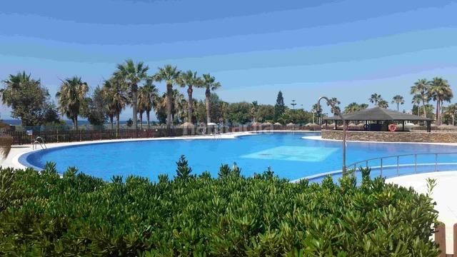 Foto bf16131c-123e-4146-abc0-88c2f143b759. Planta baixa a Almerimar Ejido (El)