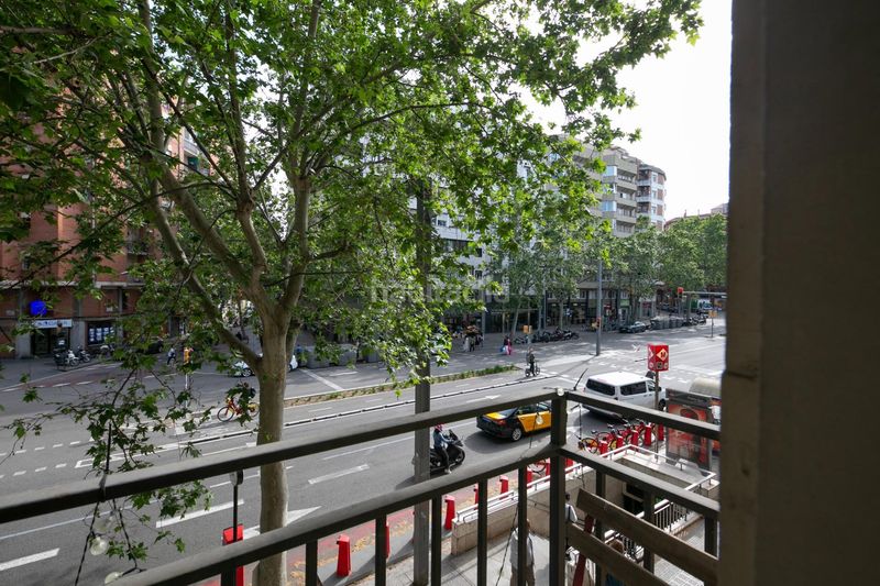 Foto 5c271521-a1d9-4c6e-be5a-37ca6ddcb0be. Pis a Sant Antoni Barcelona