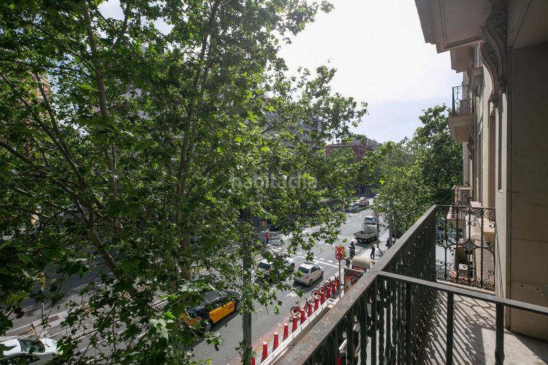 Foto f3ed910e-2db3-4e7f-938f-5103207ae0f7. Pis a Sant Antoni Barcelona