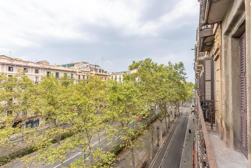 Foto 41c7003c-0188-4784-a34b-fcd45c0330ec. Piso  a estrenar amueblado en eixample en Sant Antoni Barcelona