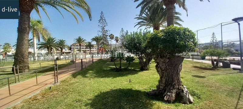 Foto 980ef3bb-af88-4895-ad49-165164a6f50e. Casa bungalow en playa del ingles en Playa del Inglés San Bartolomé de Tirajana
