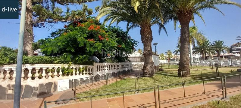 Foto a9dcadcb-b04a-49f9-b046-383b3379de81. Casa bungalow en playa del ingles en Playa del Inglés San Bartolomé de Tirajana