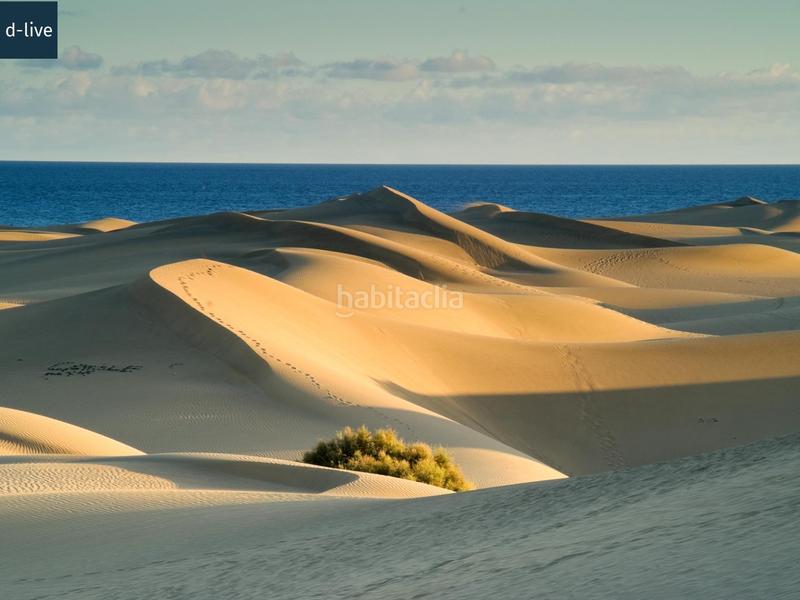 Foto 8ada91cb-2bd1-460c-91b7-dd886c4305d6. Miete haus mit pool in Maspalomas - Meloneras San Bartolomé de Tirajana