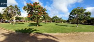 Piso  Calle pintor nicolas massieu. Vivienda vpo adaptada a personas con movilidad reducida, en lomo