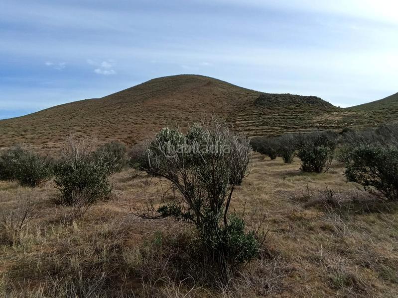 Foto 1e857dd0-a397-45ee-a36a-880d14a5161e. Finca rústica finca rustica en Valle de los Nueve - El Ejido - Medianías Telde