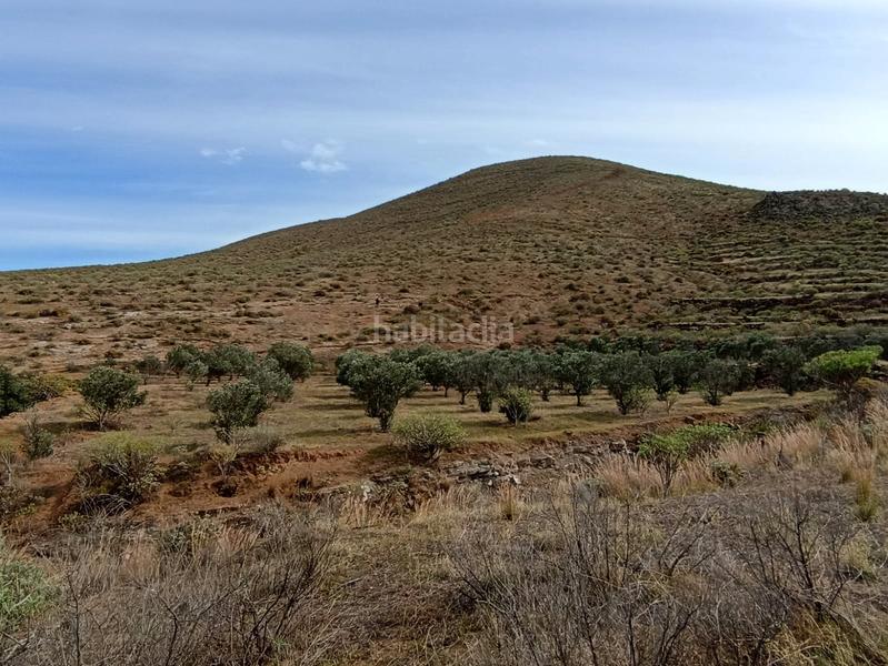 Foto b21175c3-0253-4a93-a58c-65434d876c3a. Finca rústica finca rustica en Valle de los Nueve - El Ejido - Medianías Telde