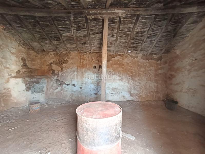 Foto cc7f7307-a1f8-4a8e-bb29-72bc96127ae7. Finca rústica finca rustica en Valle de los Nueve - El Ejido - Medianías Telde