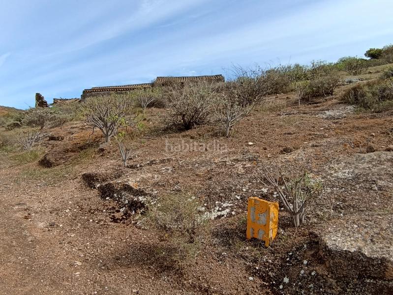 Foto dd9ec95f-0a42-4613-a6f2-7219dbd8b3a6. Finca rústica finca rustica en Valle de los Nueve - El Ejido - Medianías Telde