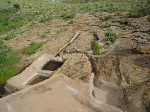Foto 401bfecf-6635-4c86-b25f-595532e22254. Finca rústica a calle betancor fabelo 18 a San Gregorio Telde