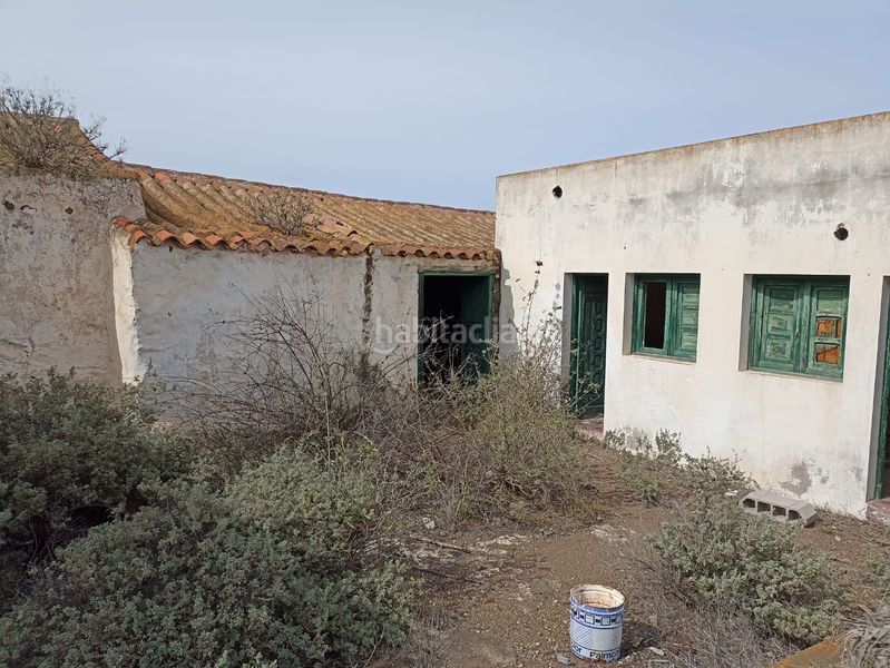 Foto 85ceda6b-d7ef-441b-9826-99a5474ce8ee. Finca rústica a calle betancor fabelo 18 a San Gregorio Telde