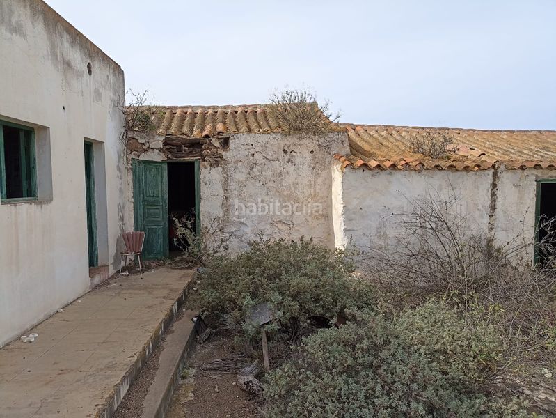 Foto a73157a3-021b-4258-9a85-cebee8ff82dd. Finca rústica a calle betancor fabelo 18 a San Gregorio Telde
