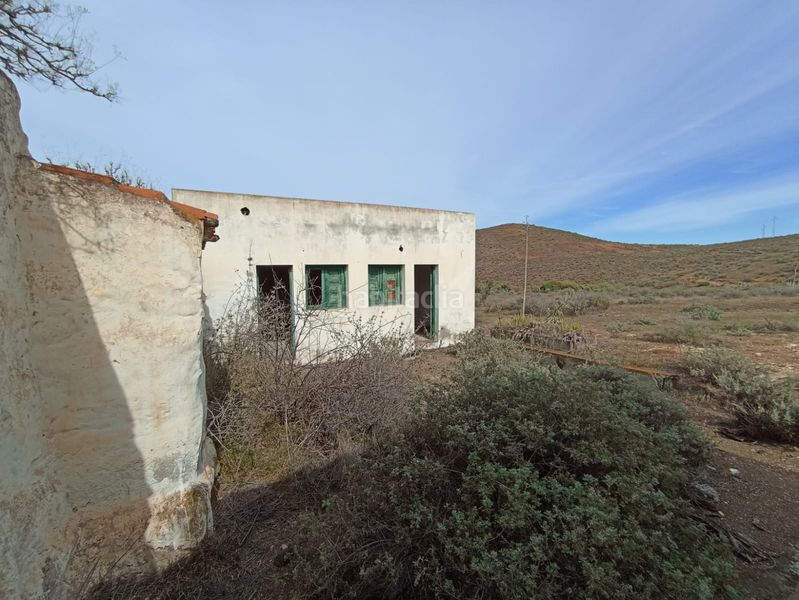 Foto cb98f8e7-0e24-4a50-b371-78feffe809b2. Finca rústica a calle betancor fabelo 18 a San Gregorio Telde