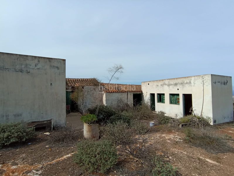 Foto fea95050-d9e3-4579-b9b9-852cd8c9c653. Finca rústica a calle betancor fabelo 18 a San Gregorio Telde