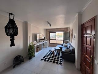 Location Appartement  Calle siempreviva
