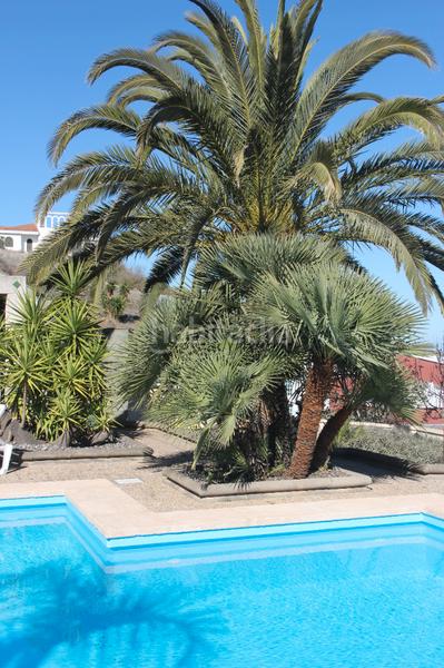 Foto 1c36df59-a88f-441f-b7f6-d0993e47e5c3. Chalet exclusiva villa con encanto canario y vistas al atlántico en Santa Brígida