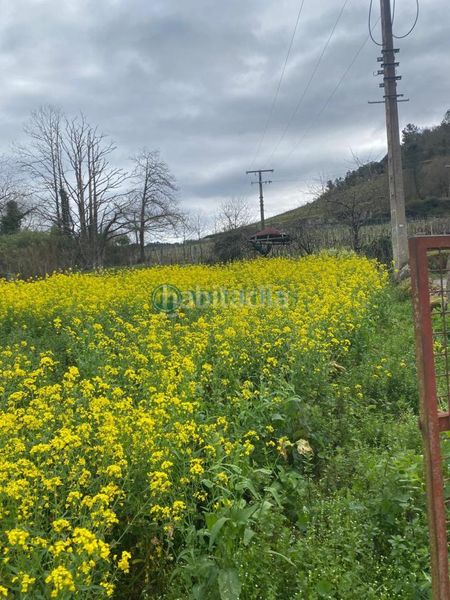 Foto 8389f10b-b645-4155-86bf-0e03149d7f65. Casa amb calefacció a Castrelo de Miño