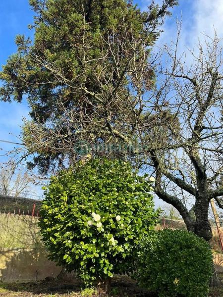 Foto f5619424-5f63-4a2d-b377-1d9c9f4e881e. Casa en San Rosendo Ourense