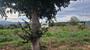 Ampliar foto 37bbb713-b4fb-470c-b8eb-93cbc9a3a6df.jpg