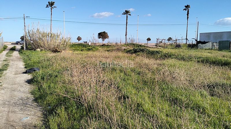 Foto fc8c93ea-8ad0-46e8-afac-28afc9deeb36. Finca rústica a camino sobrevela 70 a El Zabal-Santa Margarita Línea de la Concepción (La)