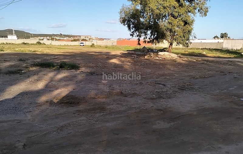 Foto 245aa6b6-6a29-44c1-ac02-2d47d12cb045. Finca rústica a carretera del higuerón 73 a El Zabal-Santa Margarita Línea de la Concepción (La)