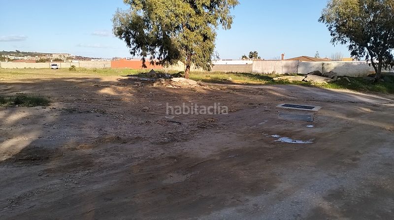Foto d6e5c311-fdad-40ae-b43d-0dd3056f0698. Finca rústica a carretera del higuerón 73 a El Zabal-Santa Margarita Línea de la Concepción (La)