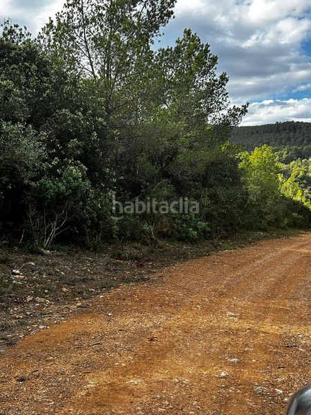 Foto 0cdfcf70-0285-4d54-8682-ad7f59e454f0. Finca rústica a Cervelló