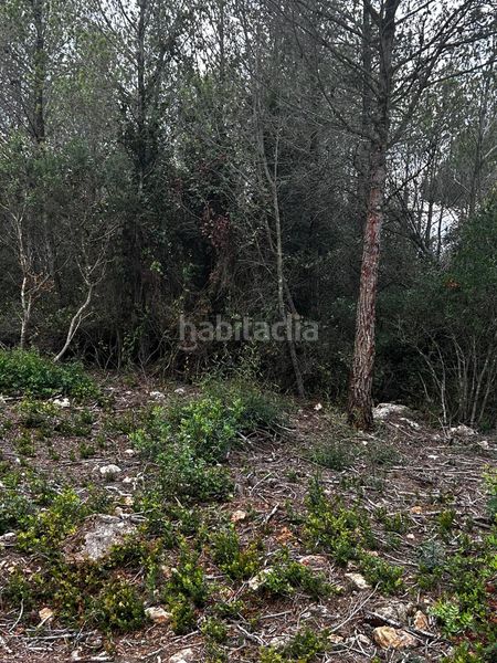 Foto d740899d-123e-4cb2-be57-2a5ca2730de5. Finca rústica a Cervelló