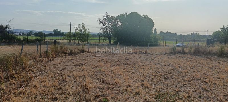 Foto 83cda710-48e7-4018-b95f-a26a8beaab72. Finca rústica a camino de casetas 91d a Garrapinillos Zaragoza