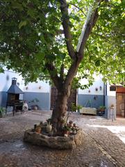 Masa  Calle san martn 25
