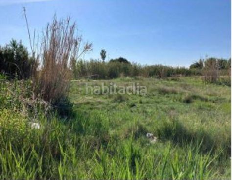 Foto 4b3facb0-2f36-4840-86d0-8e86b1a2c9be. Finca rústica a Puebla de Almoradiel (La)