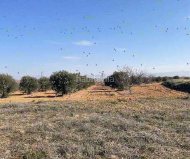 Foto 860fa7d2-c707-4de1-b6af-a567b91aa9da. Finca rústica a Puebla de Almoradiel (La)