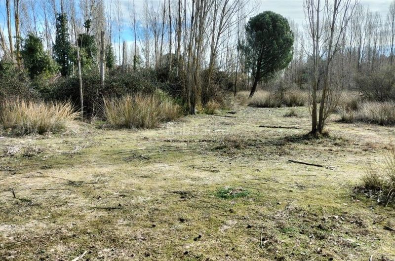 Foto 373cbbd6-5bf3-4657-9812-5c7579b299ef. Terreny residencial a Laguna de Duero