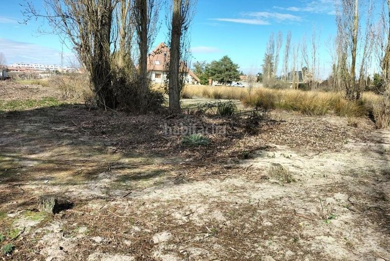 Foto e80166e6-51dc-4f7f-b5c1-2dbfdcd4ca01. Terreny residencial a Laguna de Duero