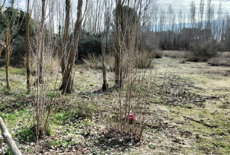 Foto f6811a6e-5dac-4286-9f27-55dae1a6d3f8. Terreny residencial a Laguna de Duero