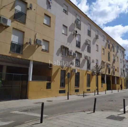 Foto 47b3a05a-a24e-4536-8238-261a6d799367. Pis a Almendralejo